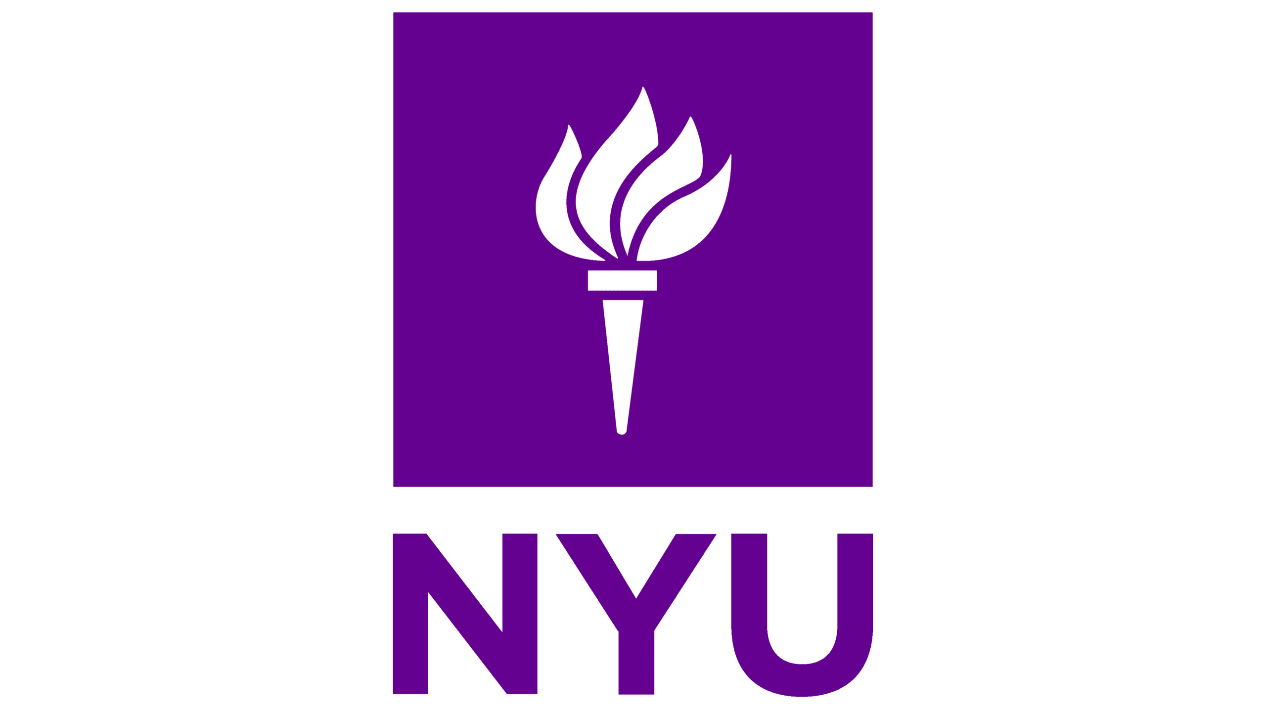 New York University